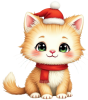 Profile picture for user Test
